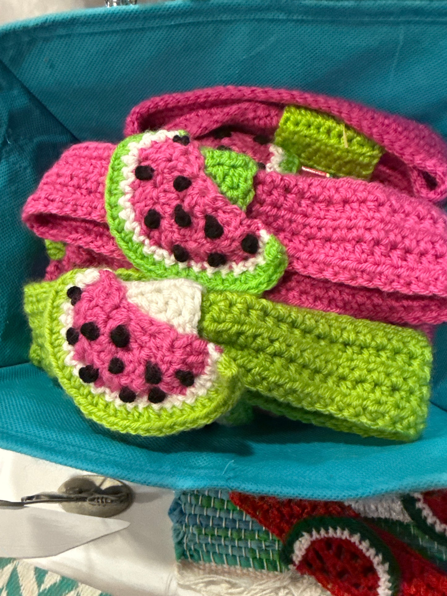 Adult Watermelon Headband